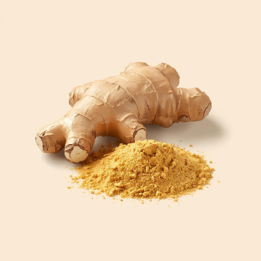 Jengibre (Kion)